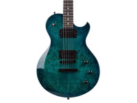 Schecter Schecter